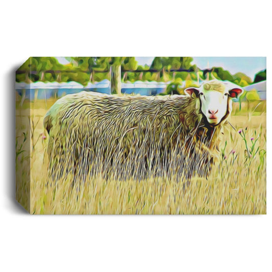 Looking at Ewe Photo Art Deluxe Landscape Canvas 1.5in Frame