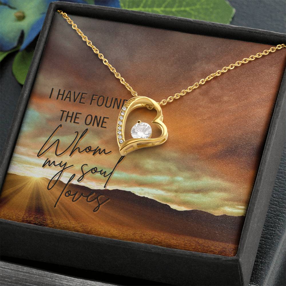 I have found the one Forever Love Necklace